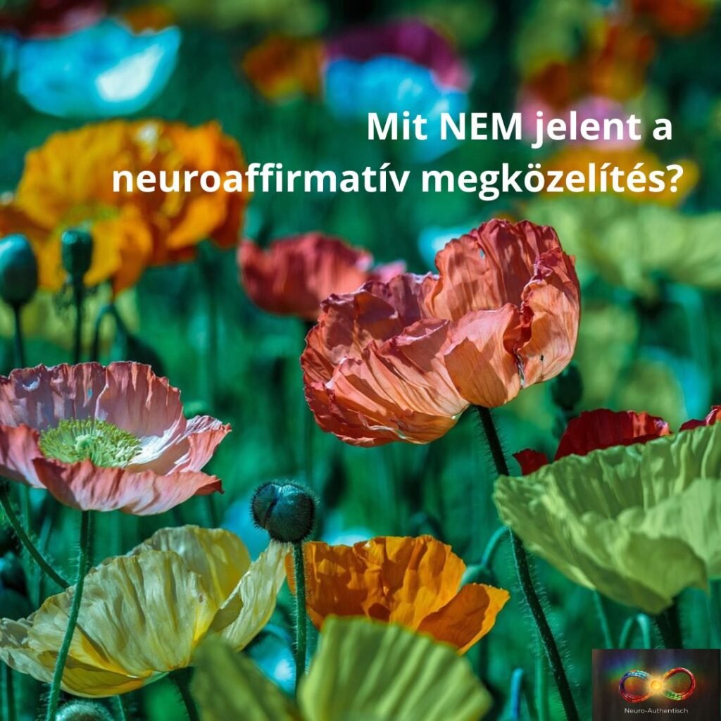 Mit NEM jelent a neuroaffirmatív megközelítés?